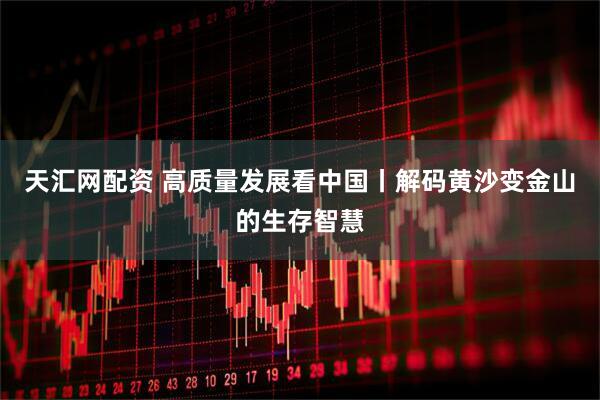 天汇网配资 高质量发展看中国丨解码黄沙变金山的生存智慧