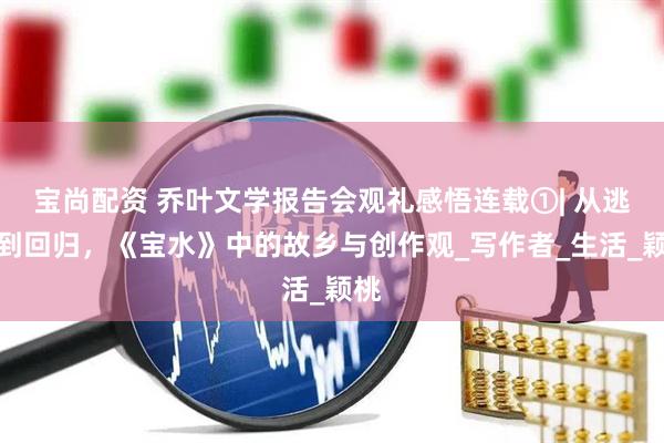 宝尚配资 乔叶文学报告会观礼感悟连载①| 从逃离到回归,《宝水》中的故乡与创作观_写作者_生活_颖桃