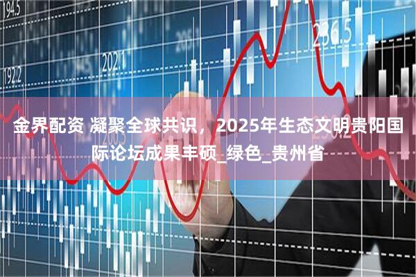 金界配资 凝聚全球共识，2025年生态文明贵阳国际论坛成果丰硕_绿色_贵州省