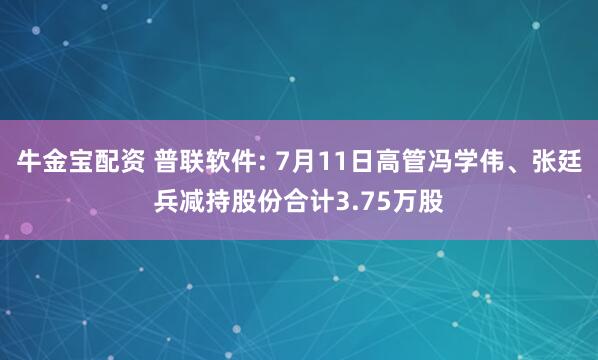 牛金宝配资 普联软件: 7月11日高管冯学伟、张廷兵减持股份合计3.75万股