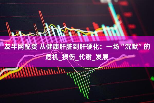 友牛网配资 从健康肝脏到肝硬化：一场“沉默”的危机_损伤_代谢_发展