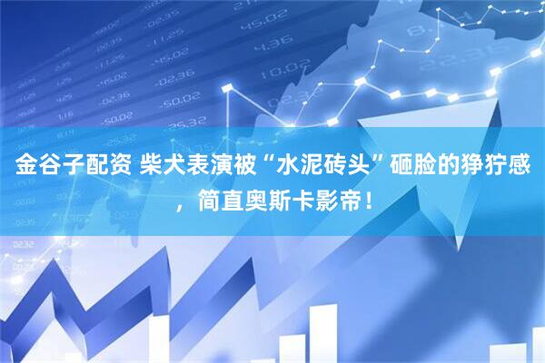 金谷子配资 柴犬表演被“水泥砖头”砸脸的狰狞感，简直奥斯卡影帝！