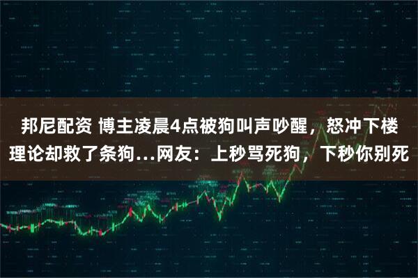 邦尼配资 博主凌晨4点被狗叫声吵醒,怒冲下楼理论却救了条狗…网友:上秒骂死狗,下秒你别死
